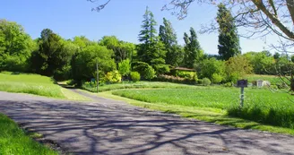 Les Chagnasses Rural Gîtes