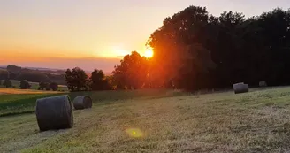 Les Chagnasses Rural Gîtes