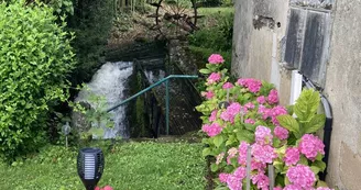 Gîte "au bord de l'eau"
