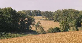 Gîte Chez Penet - 8 pers