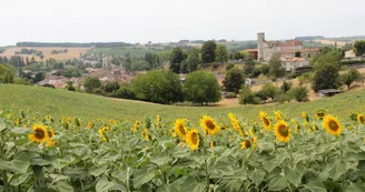 Village des Coteaux du Blanzacais