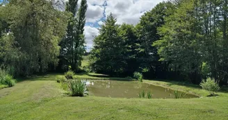 Gîte Bel - 6 pers - Piscine, parc, étang
