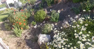 Domaine Marodi - Gîte Jasmin - 2 pers