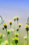 Fête de la nature à Blanzaguet sur le thème de l'eau
